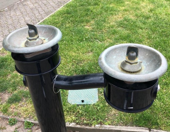 RIOC Racing To The Finish Line For FIGMENT NYC In Lighthouse Park A legacy of last years badly managed contaminated water crisis, water fountains in the park remain dry, a year later.